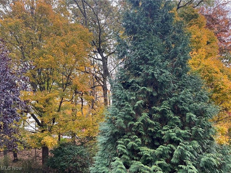 3068 Kent Road, Unit 105C, Stow, OH 44224 Photo 40