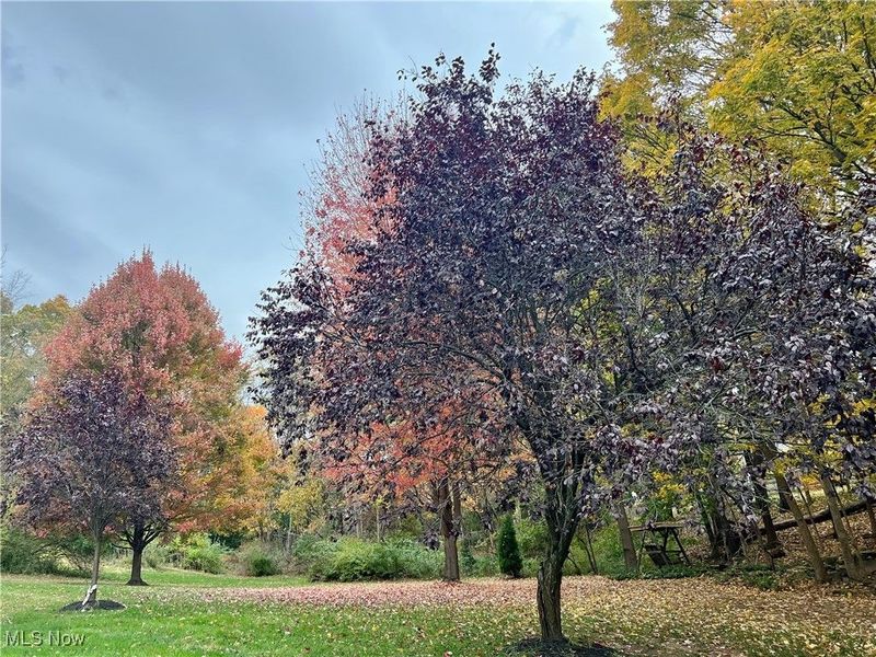 3068 Kent Road, Unit 105C, Stow, OH 44224 Photo 41