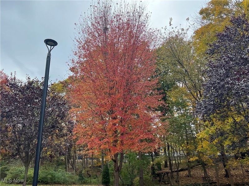 3068 Kent Road, Unit 105C, Stow, OH 44224 Photo 42