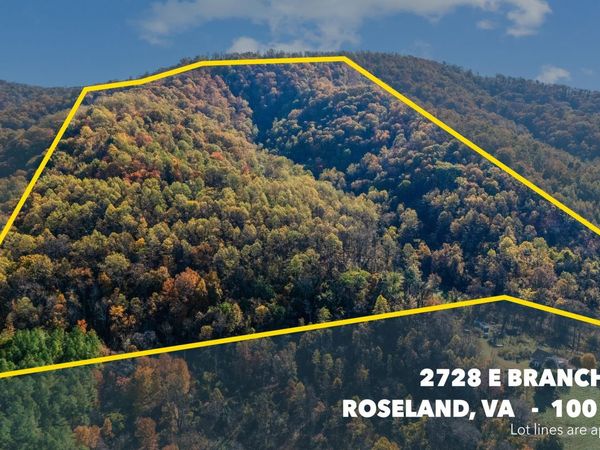 2728 EAST BRANCH LOOP, Roseland, VA 22967