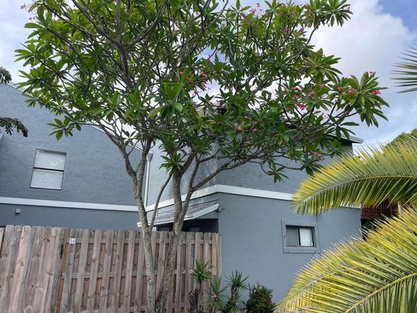 3 Crossings Circle, Unit A, Boynton Beach, FL 33435