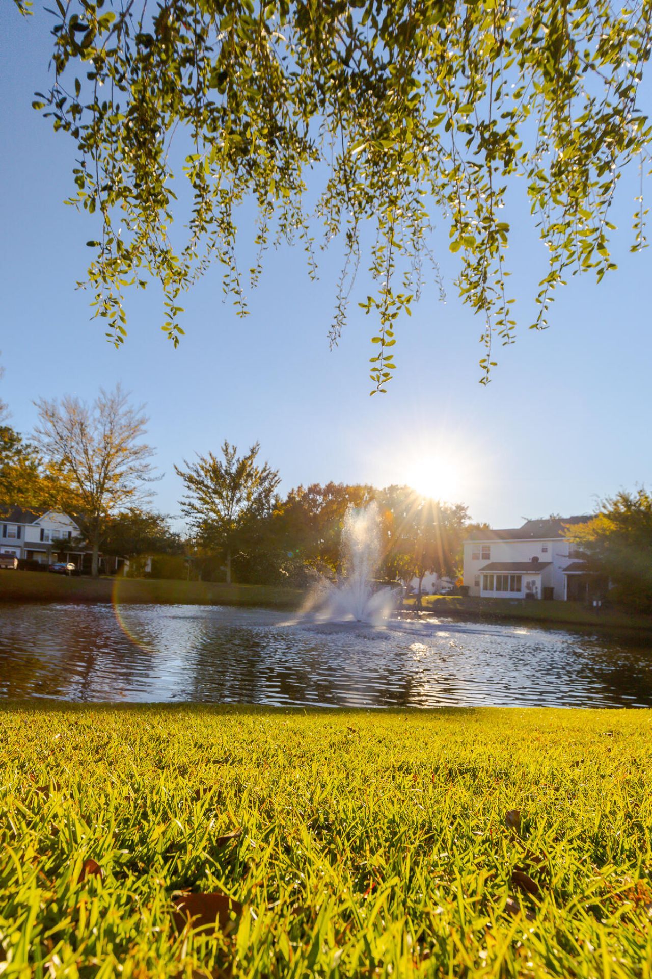 1500 Yellow Hawthorn Circle Photo 62