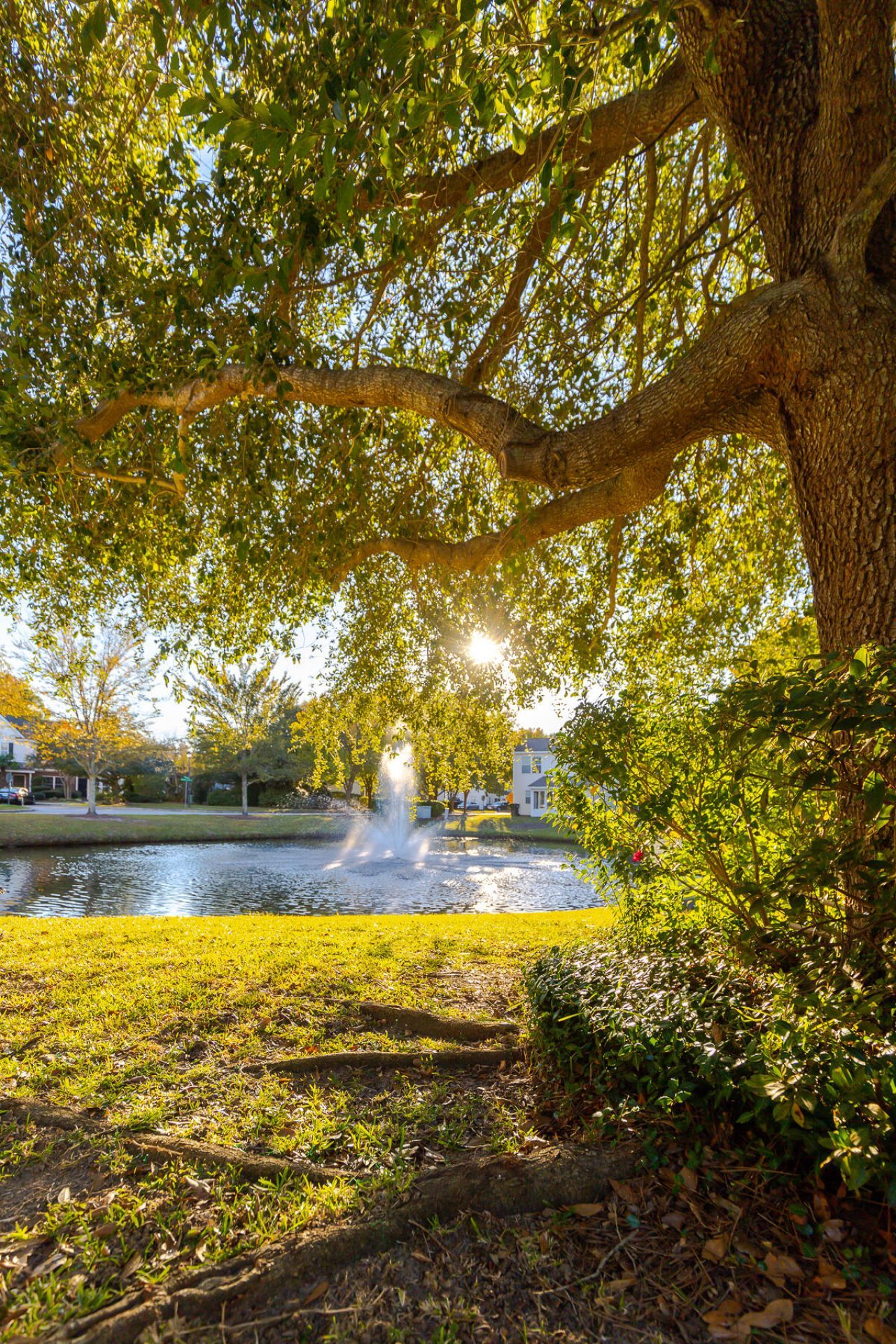 1500 Yellow Hawthorn Circle Photo 63