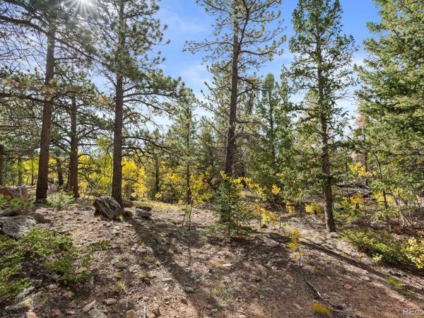 Pinon, Black Hawk, CO 80422