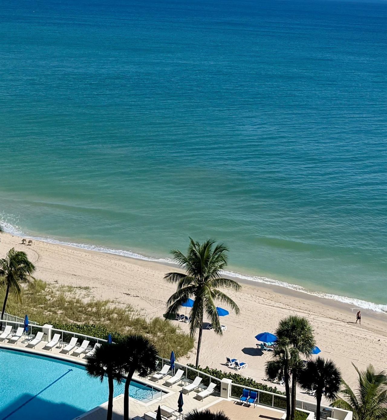 4100 Galt Ocean Drive, Unit 1406, Fort Lauderdale, FL 33308 Photo