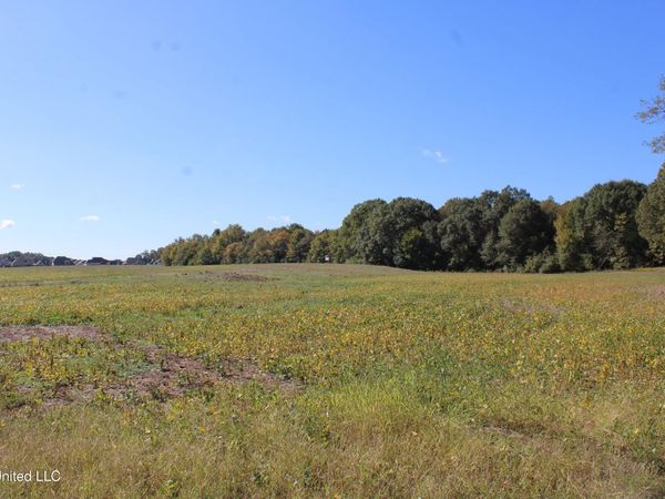14901 Desoto Road, Olive Branch, MS 38654