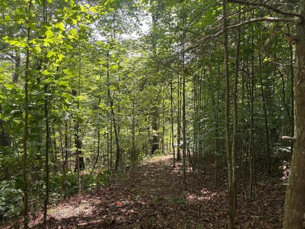 202 Deep Woods Drive, Unit 202, Dunlap, TN 37327