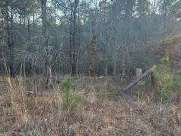 0 River Ridge Trail, Sparta, GA 31087