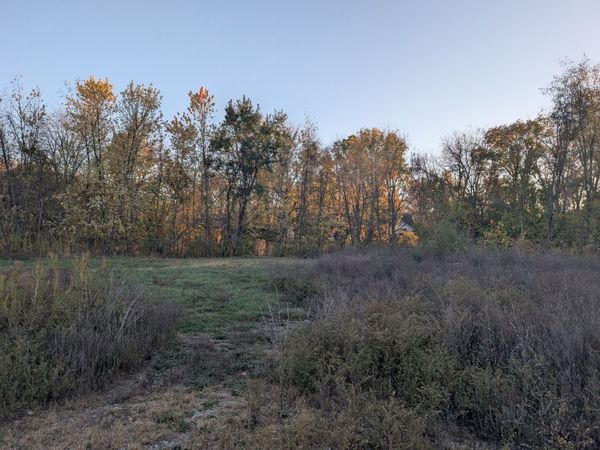 510 N Grove Street N, Farmer City, IL 61842