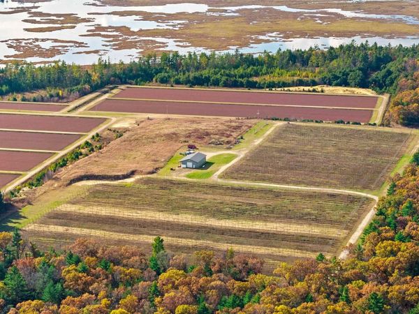 N4085 CRANBERRY ROAD, WI 54666