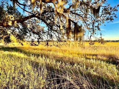 481 Paige Point, Seabrook, SC 29940