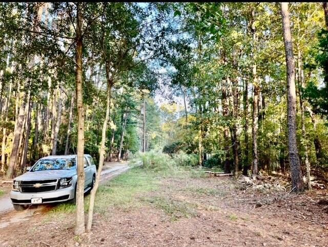 481 Paige Point Photo 13