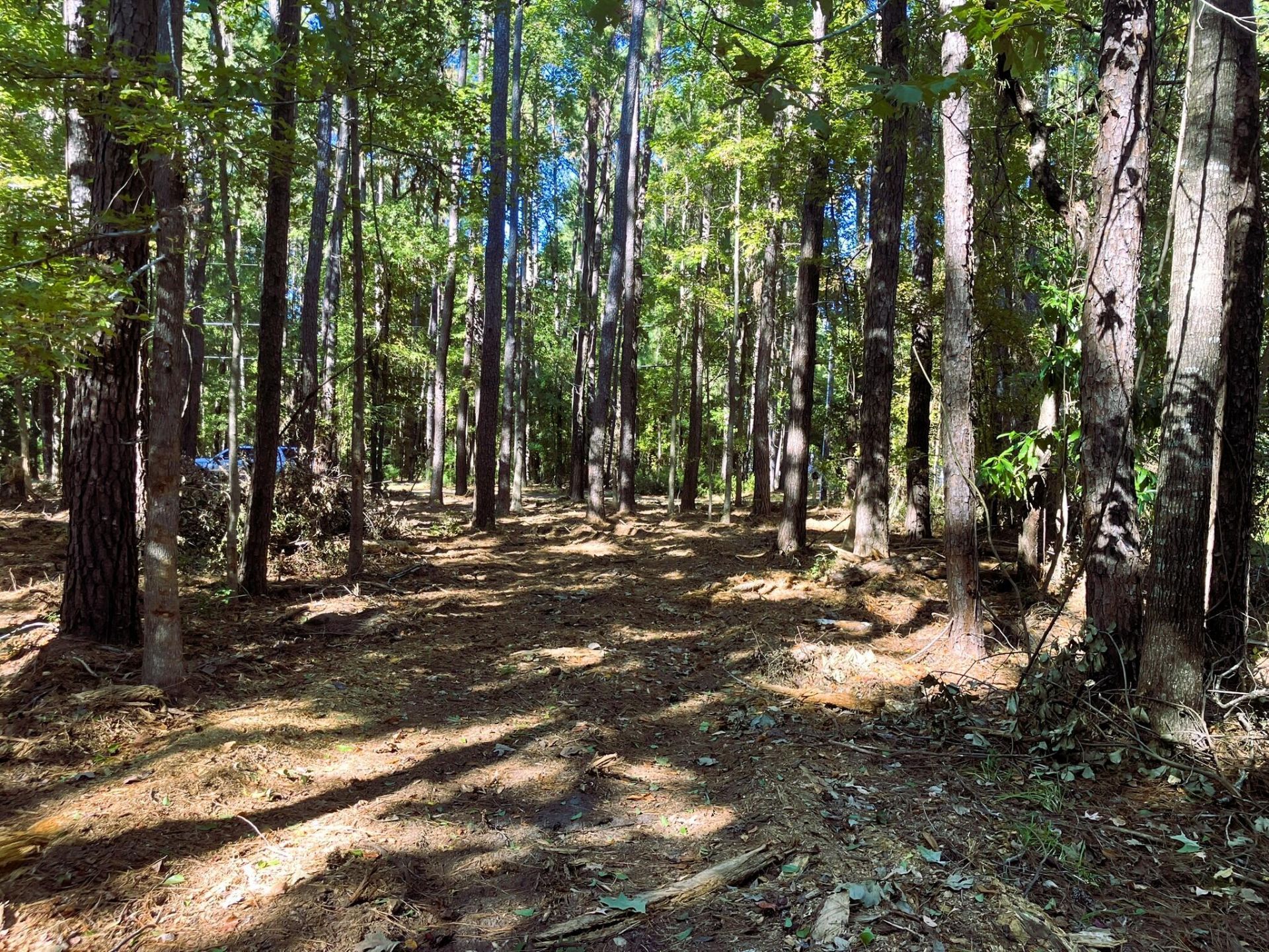 481 Paige Point Photo 13