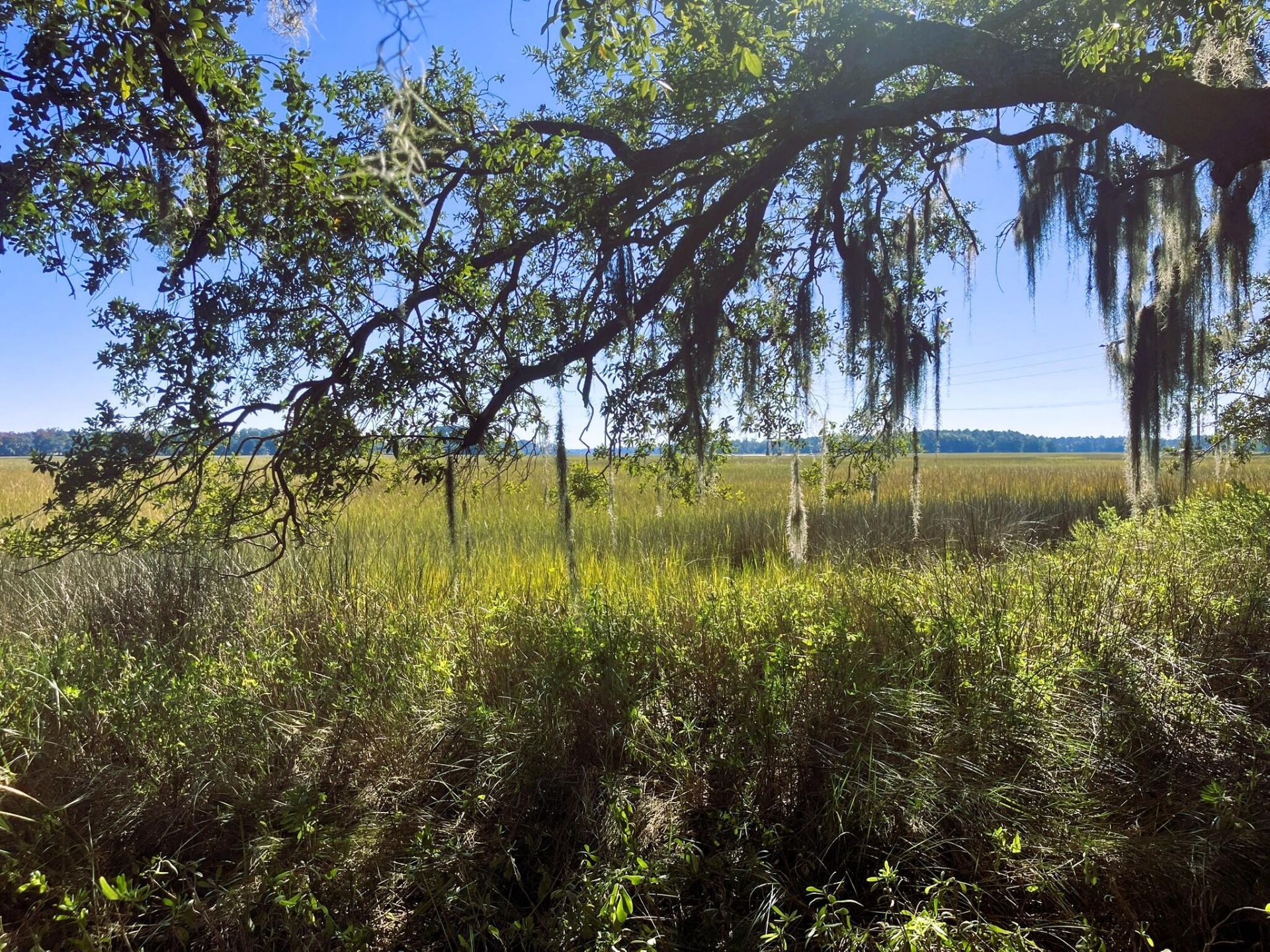 481 Paige Point Photo 14