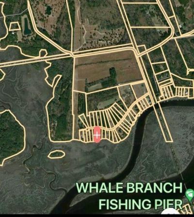 481 Paige Point Photo 15