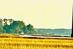 481 Paige Point photo 4