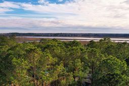 481 Paige Point photo 4