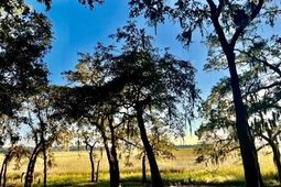 481 Paige Point photo 4