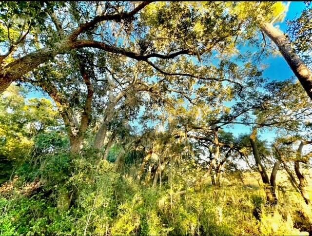 481 Paige Point Photo 4