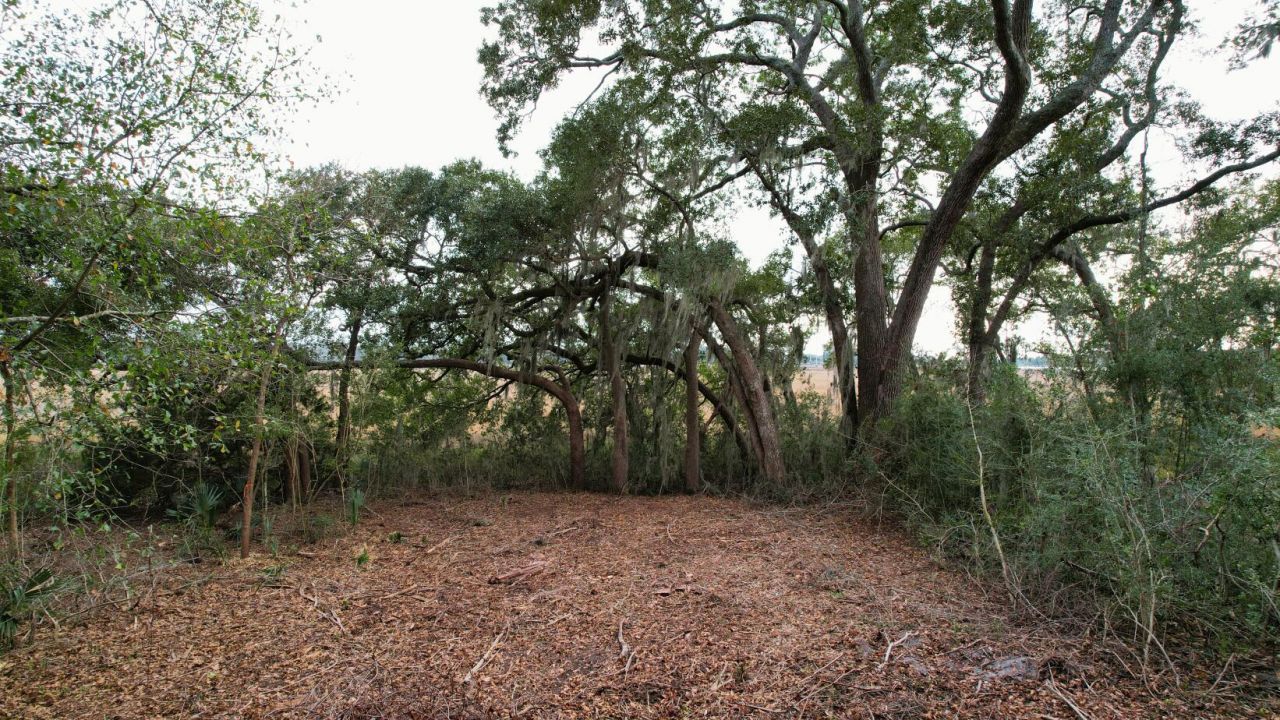 481 Paige Point Photo 4