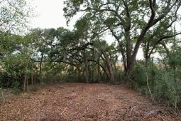 481 Paige Point photo 4