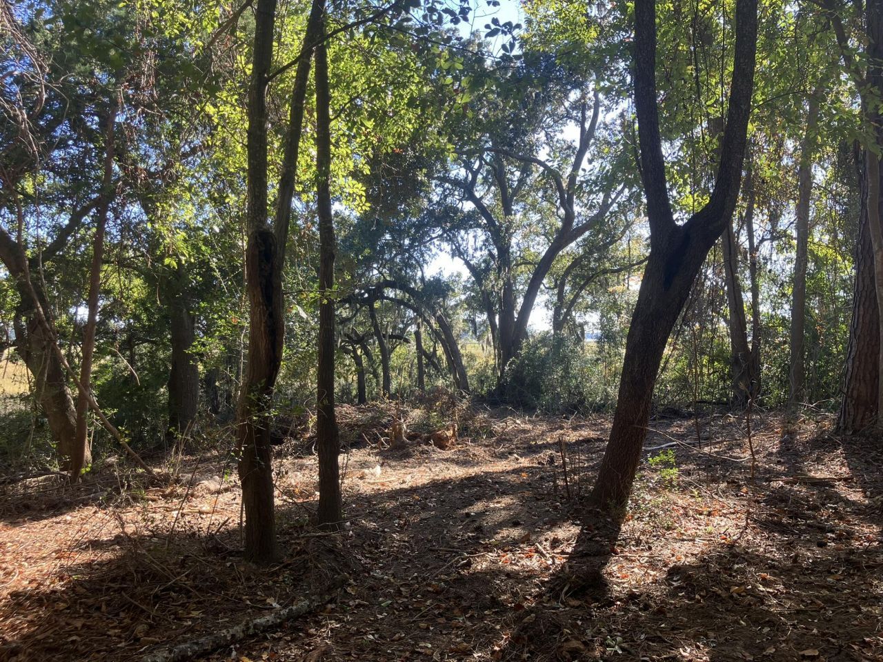 481 Paige Point Photo 5