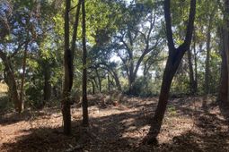 481 Paige Point photo 4