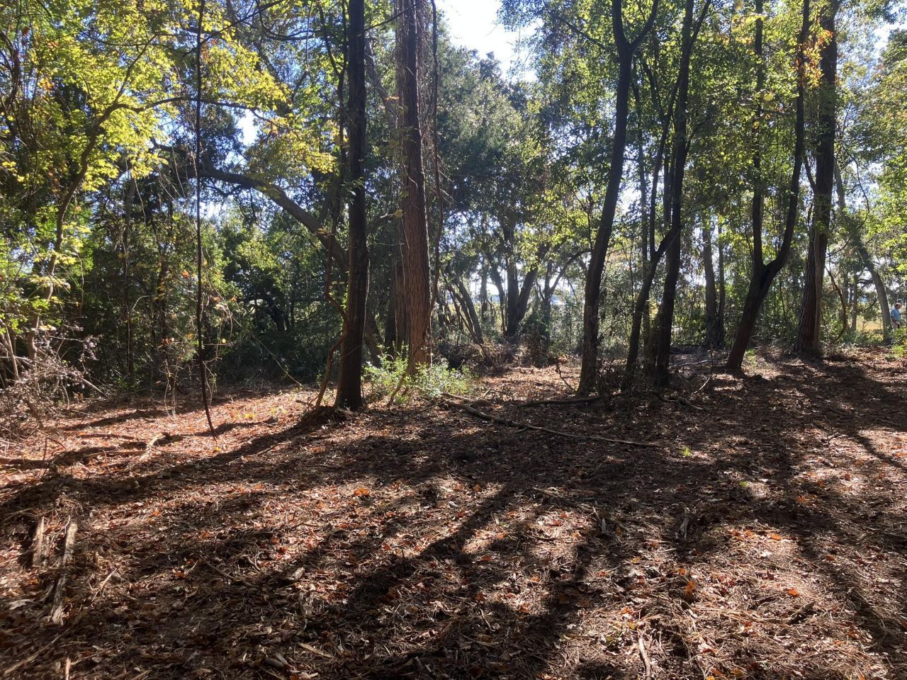 481 Paige Point Photo 6