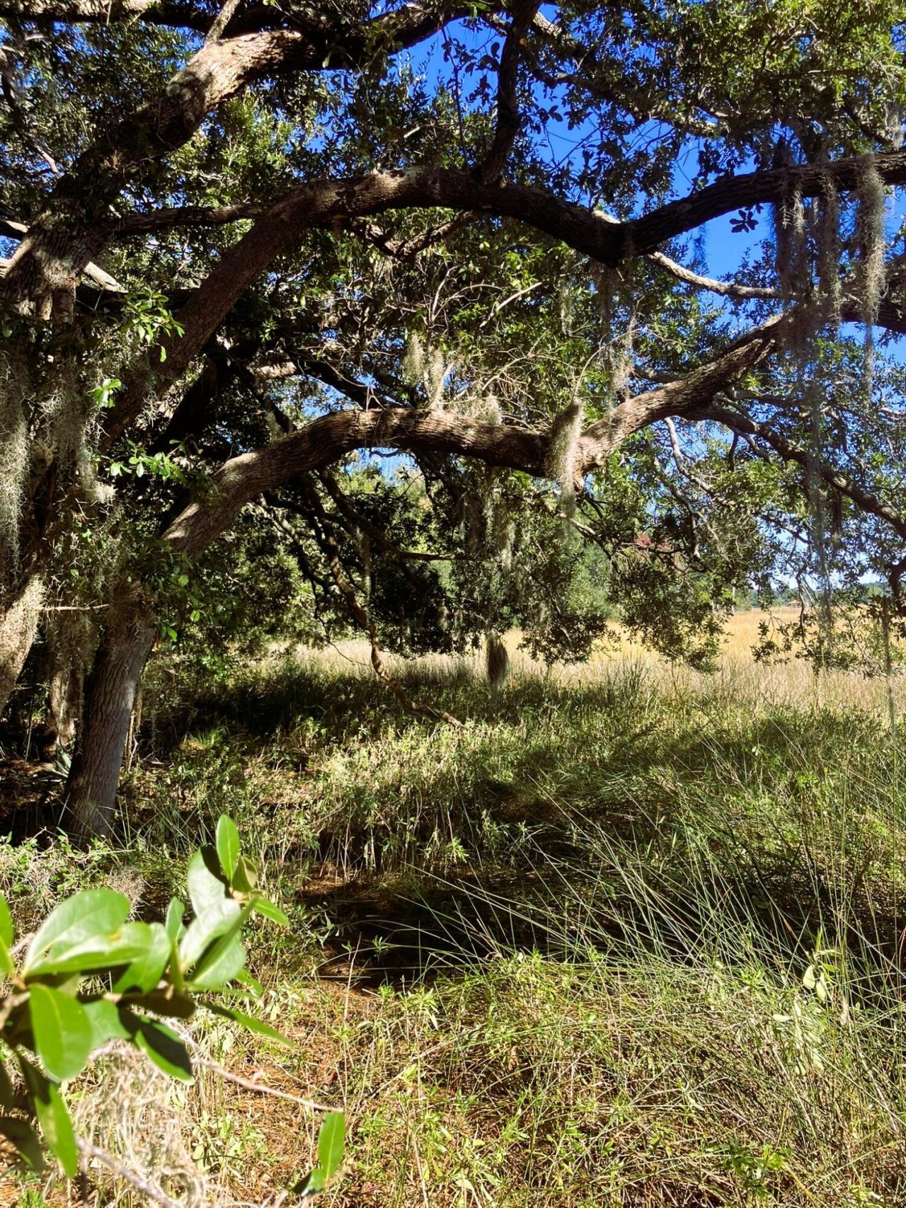 481 Paige Point Photo 7