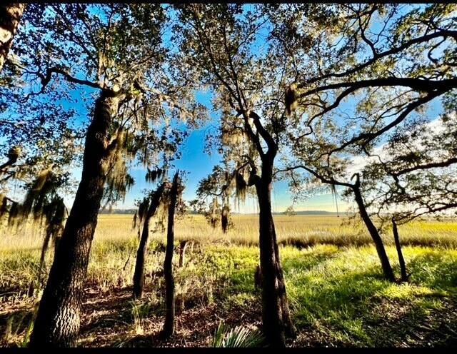 481 Paige Point Photo 8