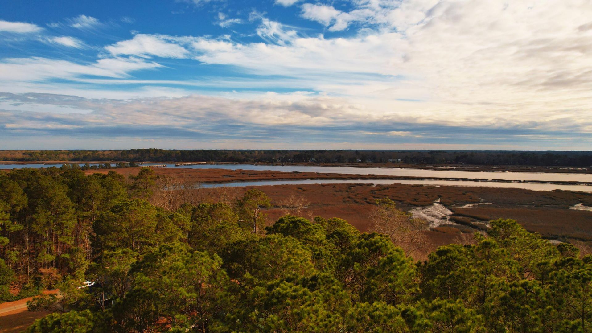 481 Paige Point Photo 8