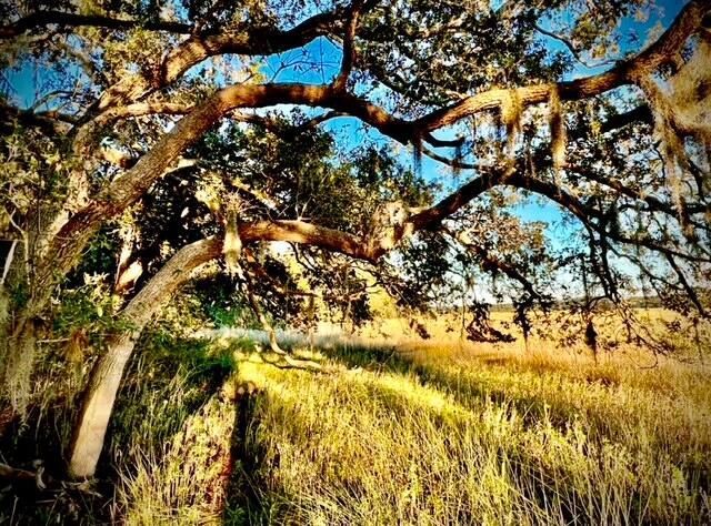 481 Paige Point Photo 9