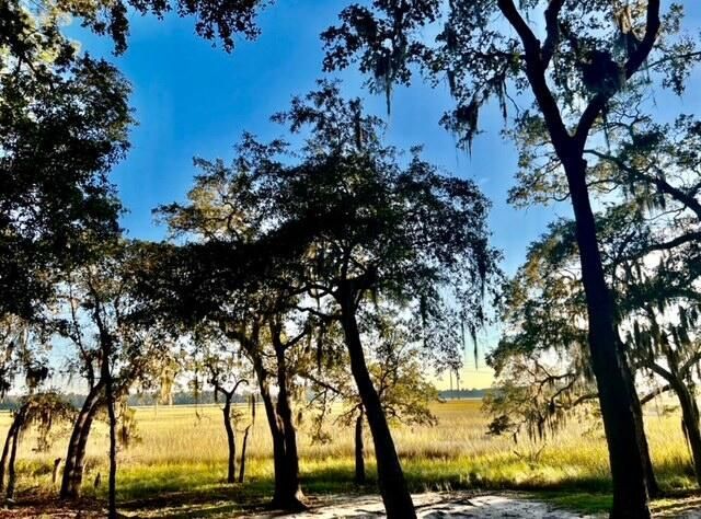481 Paige Point Photo 9