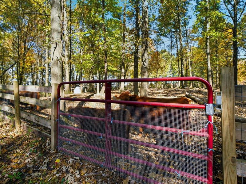 16345 E State Route 37, Sunbury, OH 43074 Photo 91