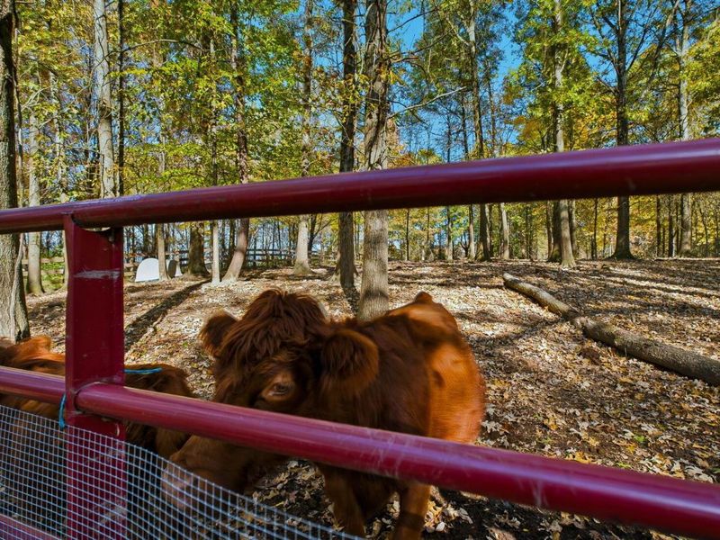 16345 E State Route 37, Sunbury, OH 43074 Photo 92