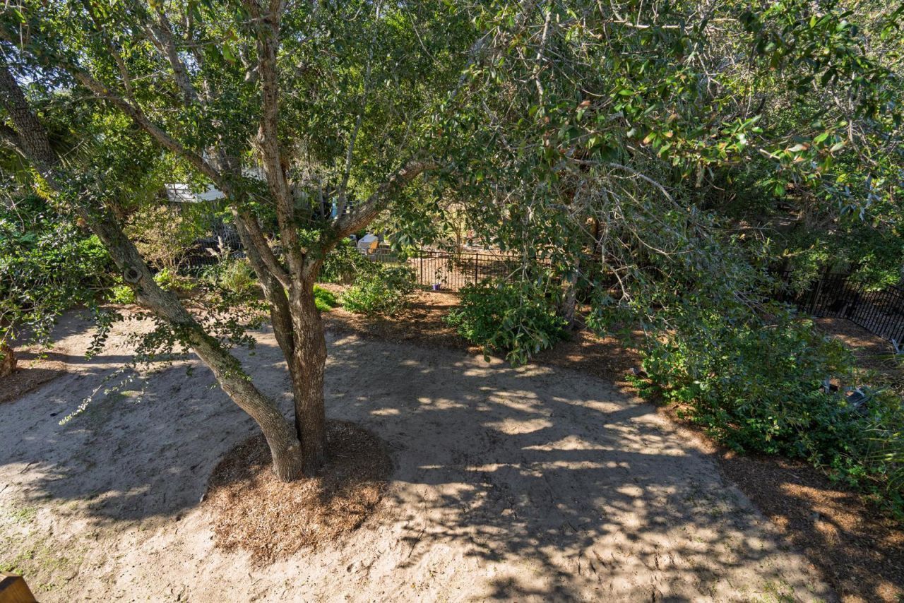 1303 Palmetto Boulevard Photo 33