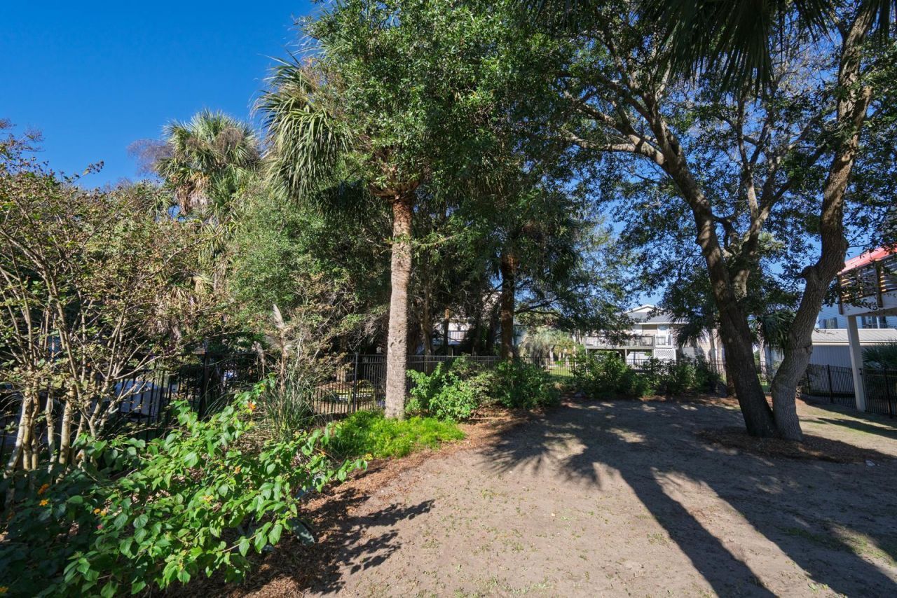 1303 Palmetto Boulevard Photo 48