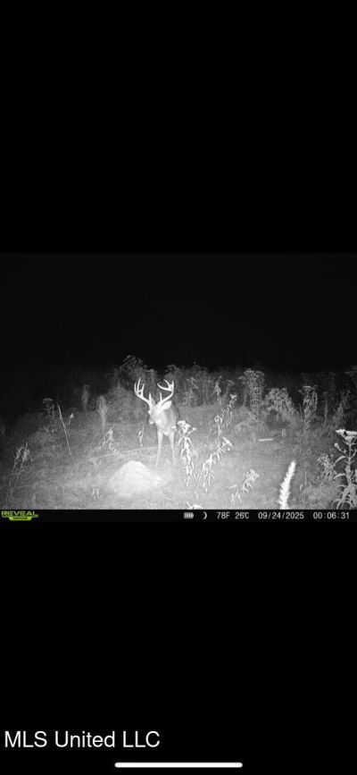 Highway 12, Tchula, MS 39169 Main Photo