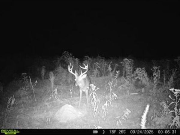 Highway 12, Tchula, MS 39169