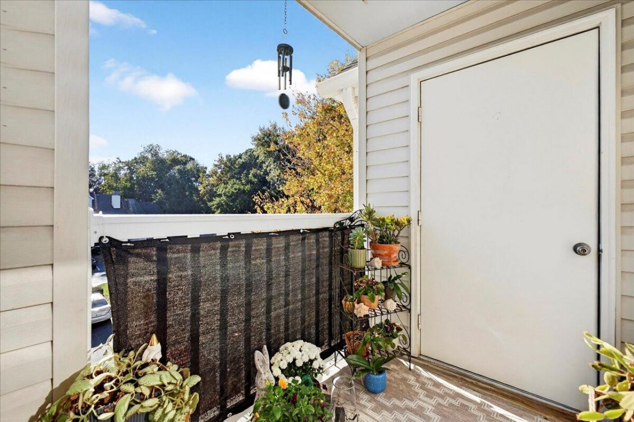 2011 N Hwy 17 Photo 10