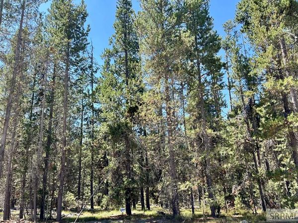 4385 Sasquatch Ave, ISLAND PARK, ID 83429