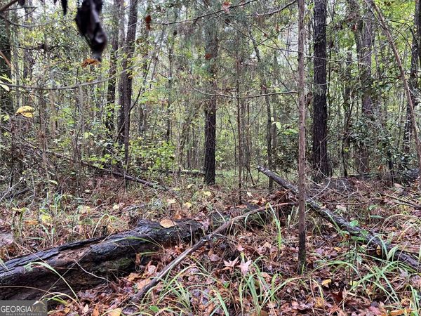 266 Clinton Crossing Drive, Gray, GA 31032