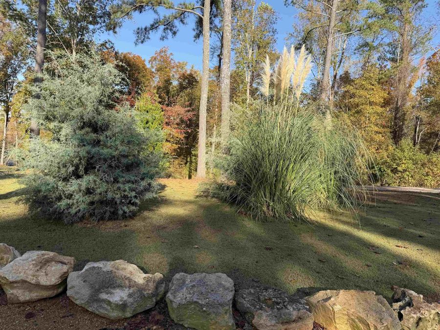 Property Image 55