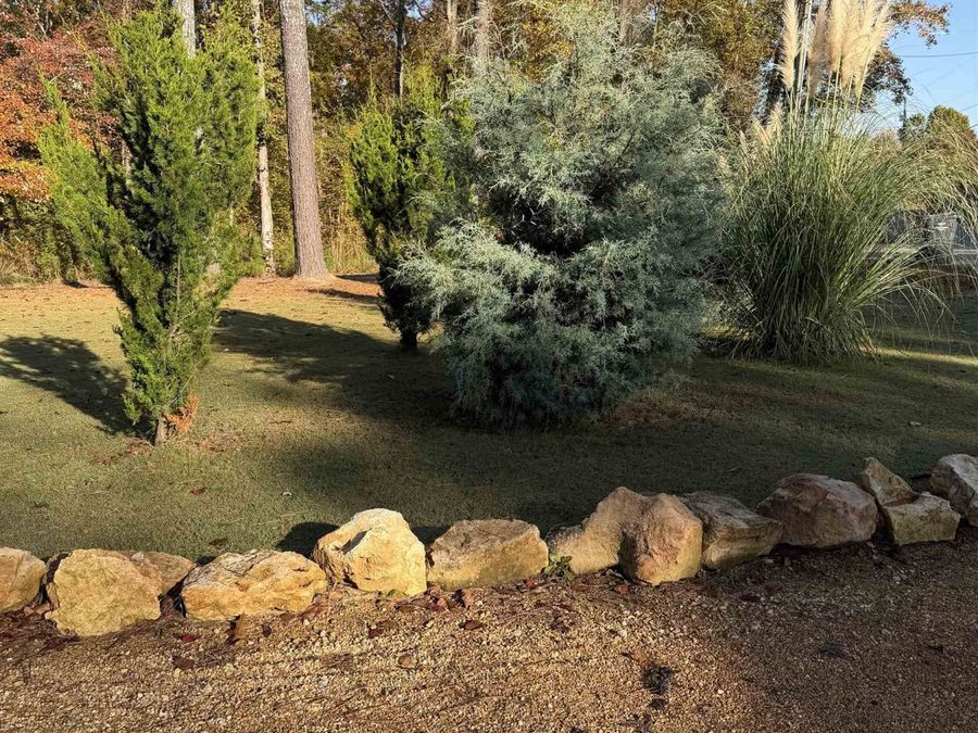 Property Image 56
