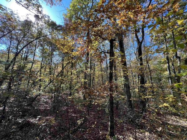 Lot 60R Holley Mountain Airpark, Clinton, AR 72031