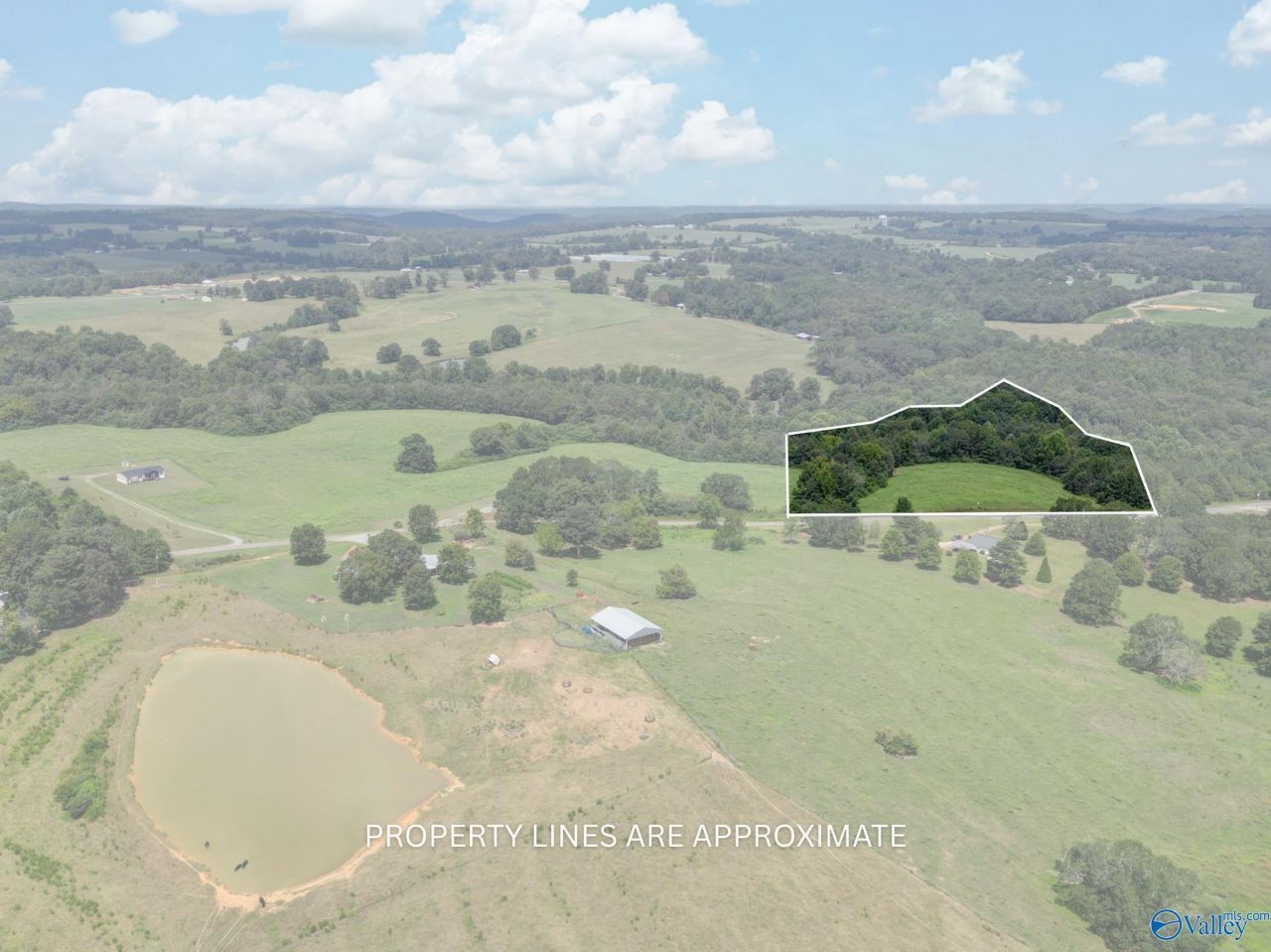 9+/- Acres Mcclarty Road, Horton, AL 35980 Main Photo