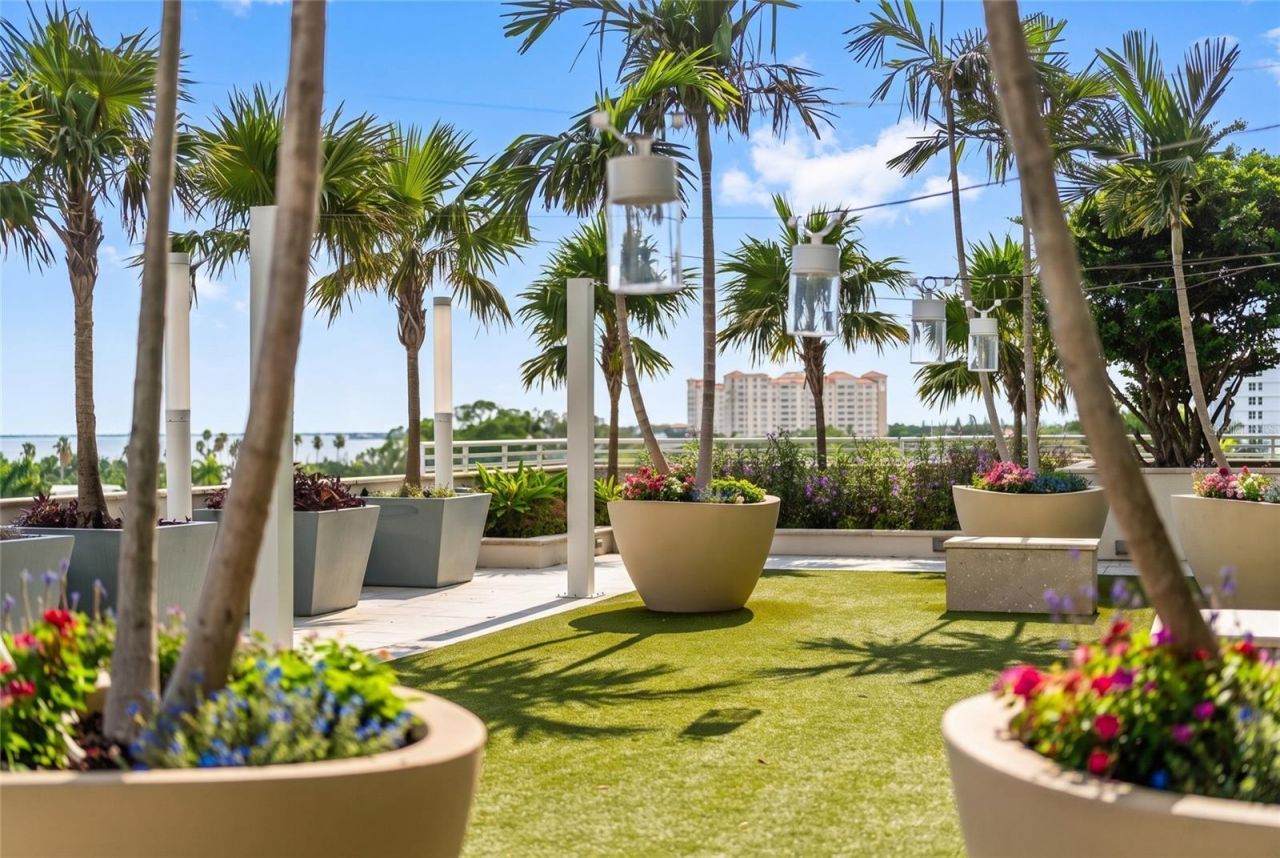 540 N Tamiami Trail, Unit 702, Sarasota, FL 34236 Photo