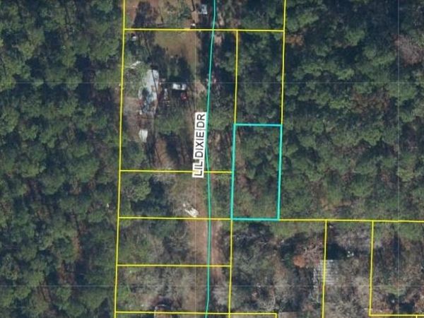 17847 LIL DIXIE DRIVE, SANDERSON, FL 32087