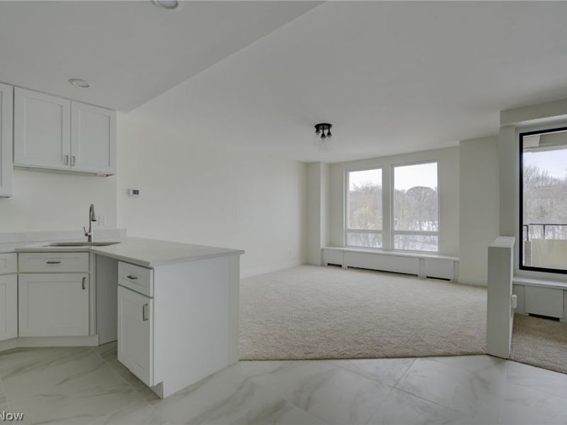 2 Bratenahl Place, Unit 2D, Bratenahl, OH 44108 Photo 12