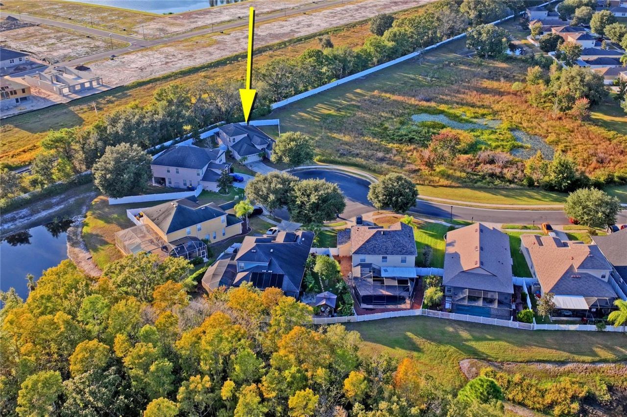 9835 Bowden Mill Court, Land O Lakes, FL 34638 Photo